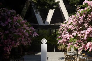 the revamped Transamerica pyramid, a pyramidal high rise with sleek contemporary interiors and slanted walls