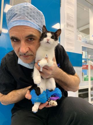 The Supervet Noel Fitzpatrick