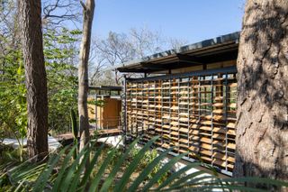 Wall to jungle house with wooden flaps