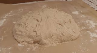 Wet no-knead dough after rising