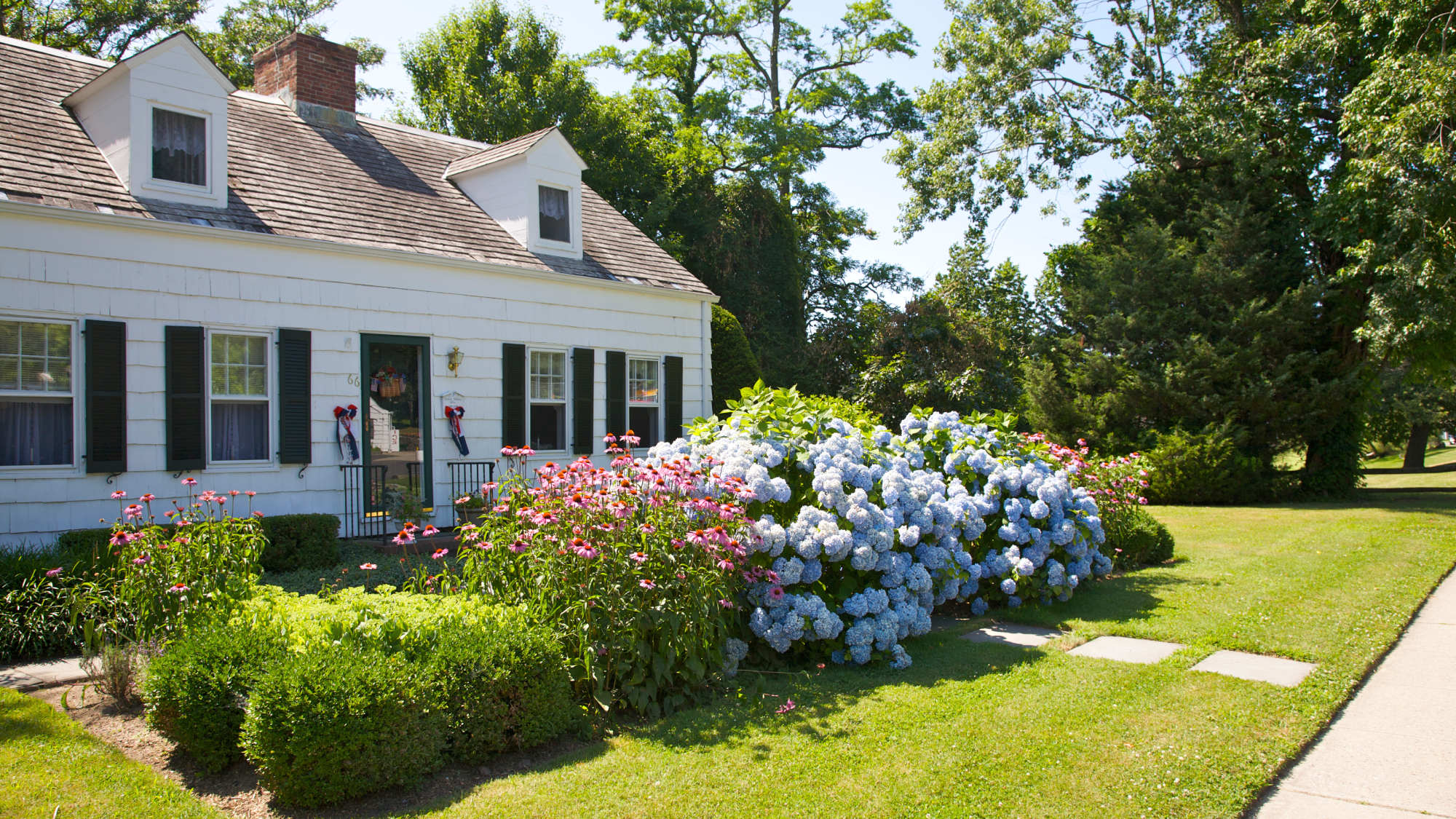 curb appeal plants in front of a white house
