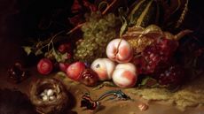 Fruit and Insects by Rachel Ruysch