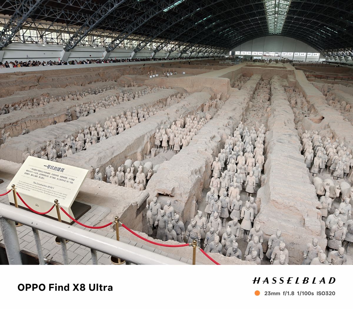 Rows of terracotta warriors
