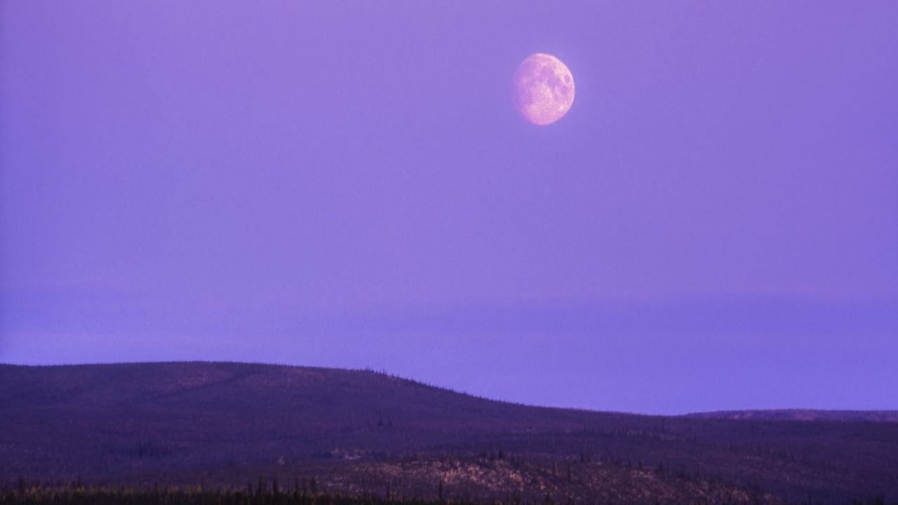 pink strawberry moon