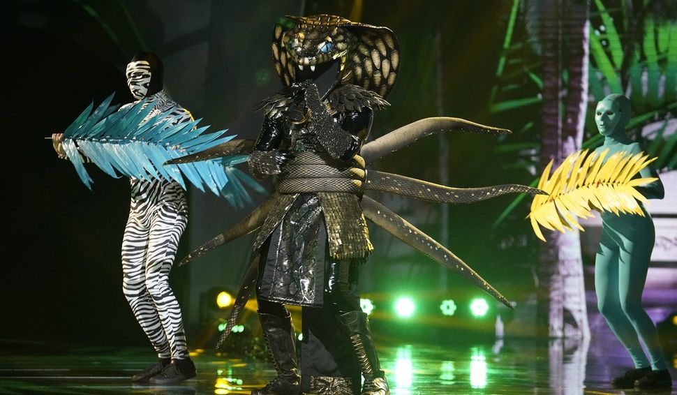 All The Masked Singer Season 4 Reveals So Far | Cinemablend