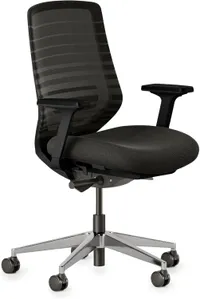Branch Ergonomic Chair