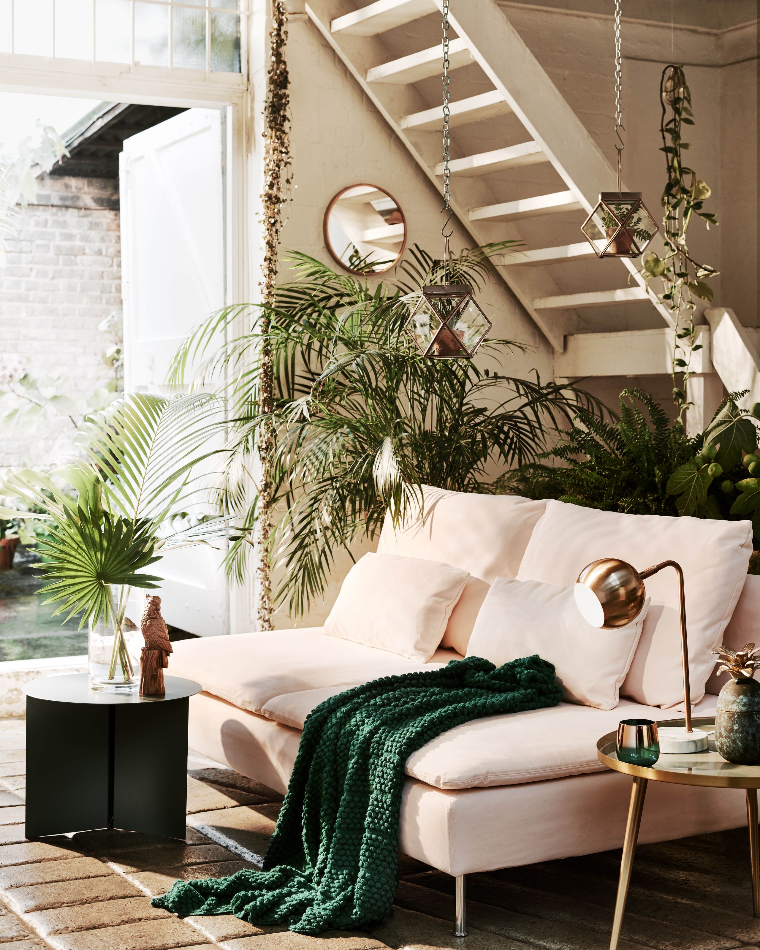 Add greenery to your living space