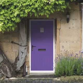 purple front door with stone walls and stone flooring