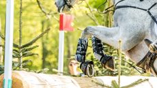 EquiRatings Horse Form Index (HFI) is hoped to be an additional tool for riders, with the aim of improving eventing safety