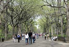 central_park.jpg