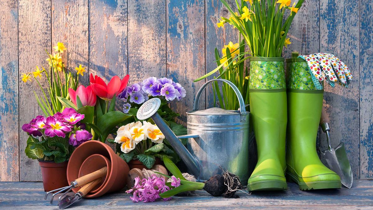 Want to sort the garden out but feeling unsure where to begin? - Vimarsana News