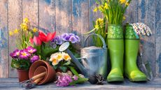 I want to sort the garden out – where do I begin? – gardening tools and spring flowers