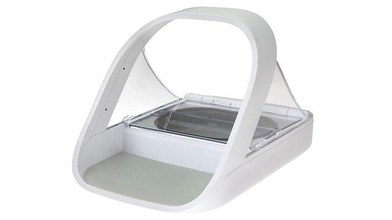 best automatic cat feeder 2018 best automatic cat feeder 2018