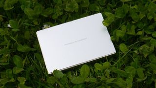 External hard drive on grass-covered ground