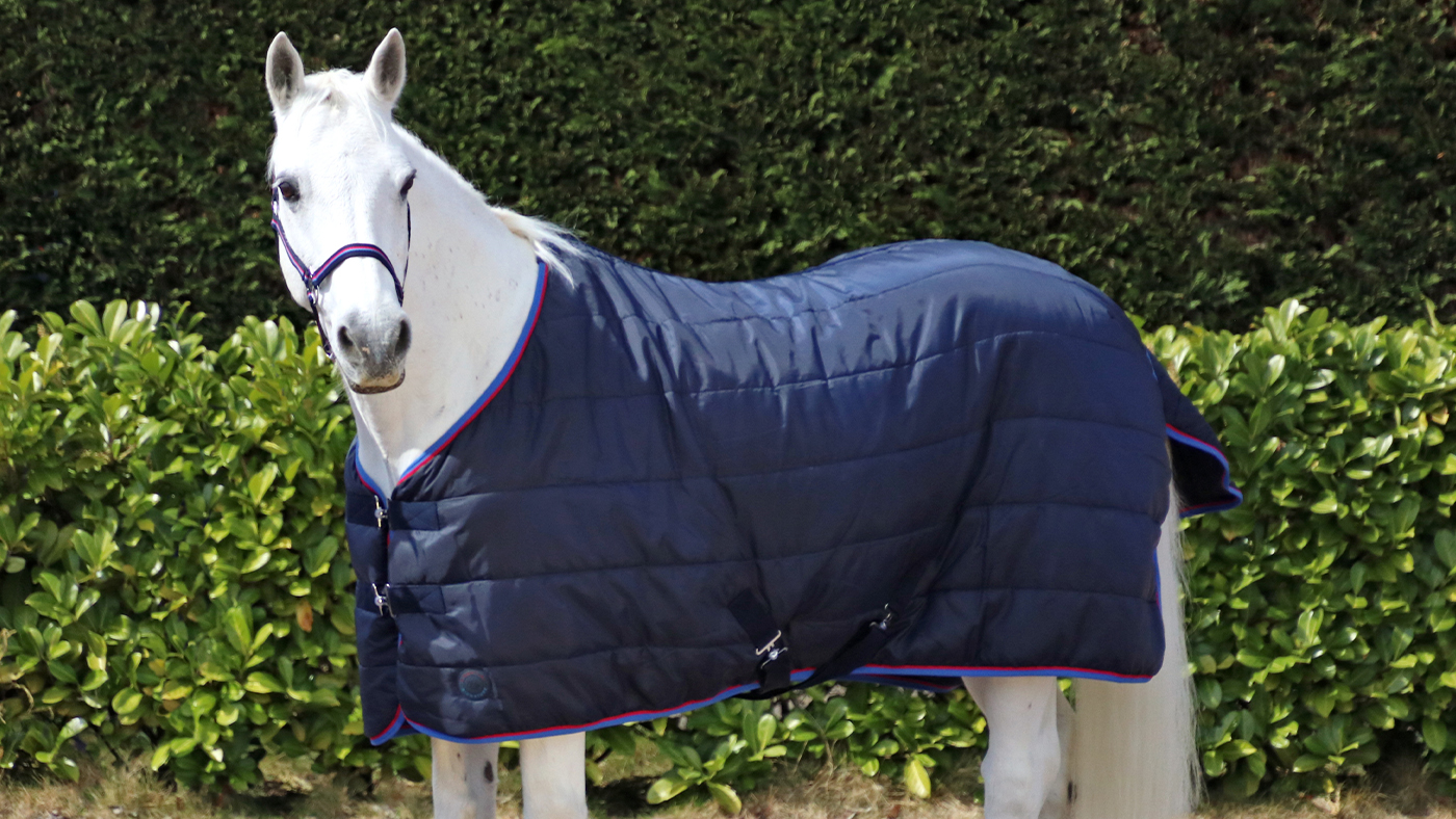 Hy Signature stable rug