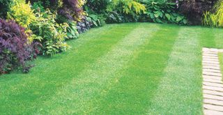 backyard with stripey lawn to show healthy grass that answers how often you should fertilize your lawn