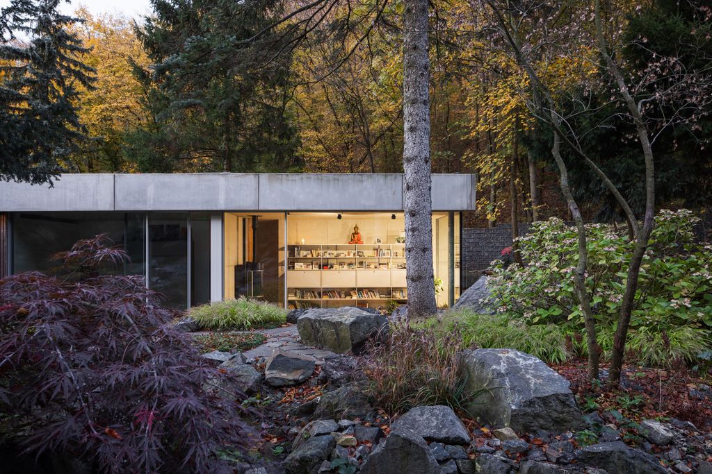 House in a forest