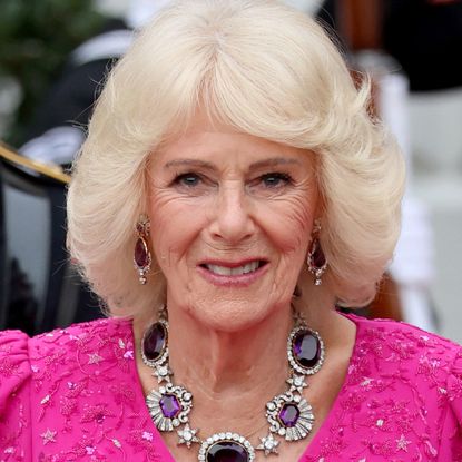 Queen Camilla in a pink gown and amethyst necklace