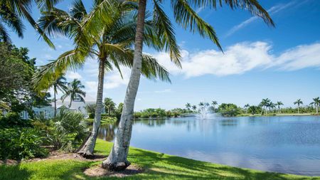 Palm trees and grass circle a Florida lake in daylight