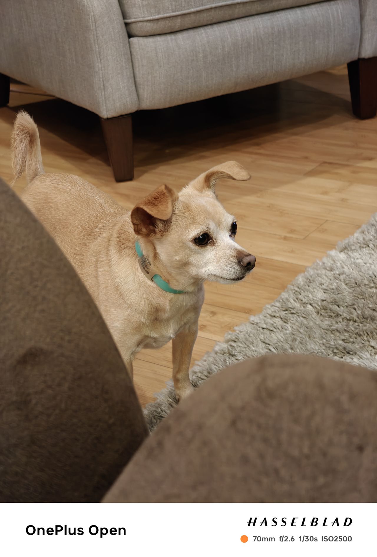 A photo captured on the OnePlus Open