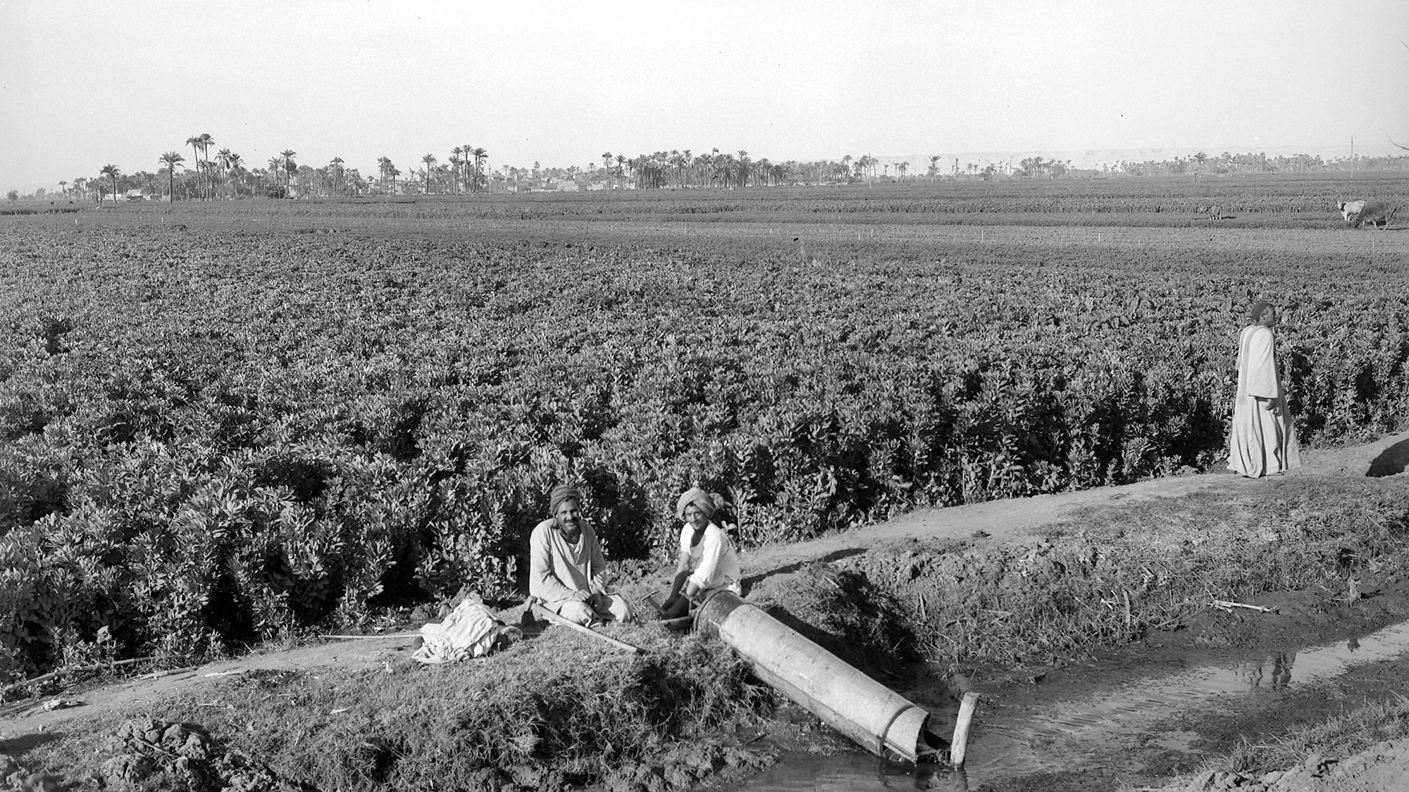 A black and white image of a series of people standing next to a ditch.