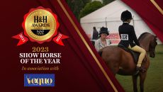 show-horse-award.jpg