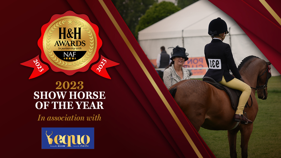 show-horse-award.jpg