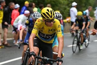 Chris Froome survived stage 19 of the Tour de France after a crash (Watson)