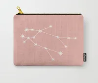 9. Gemini Zodiac Constellation—Pink Rose Carry-All Pouch