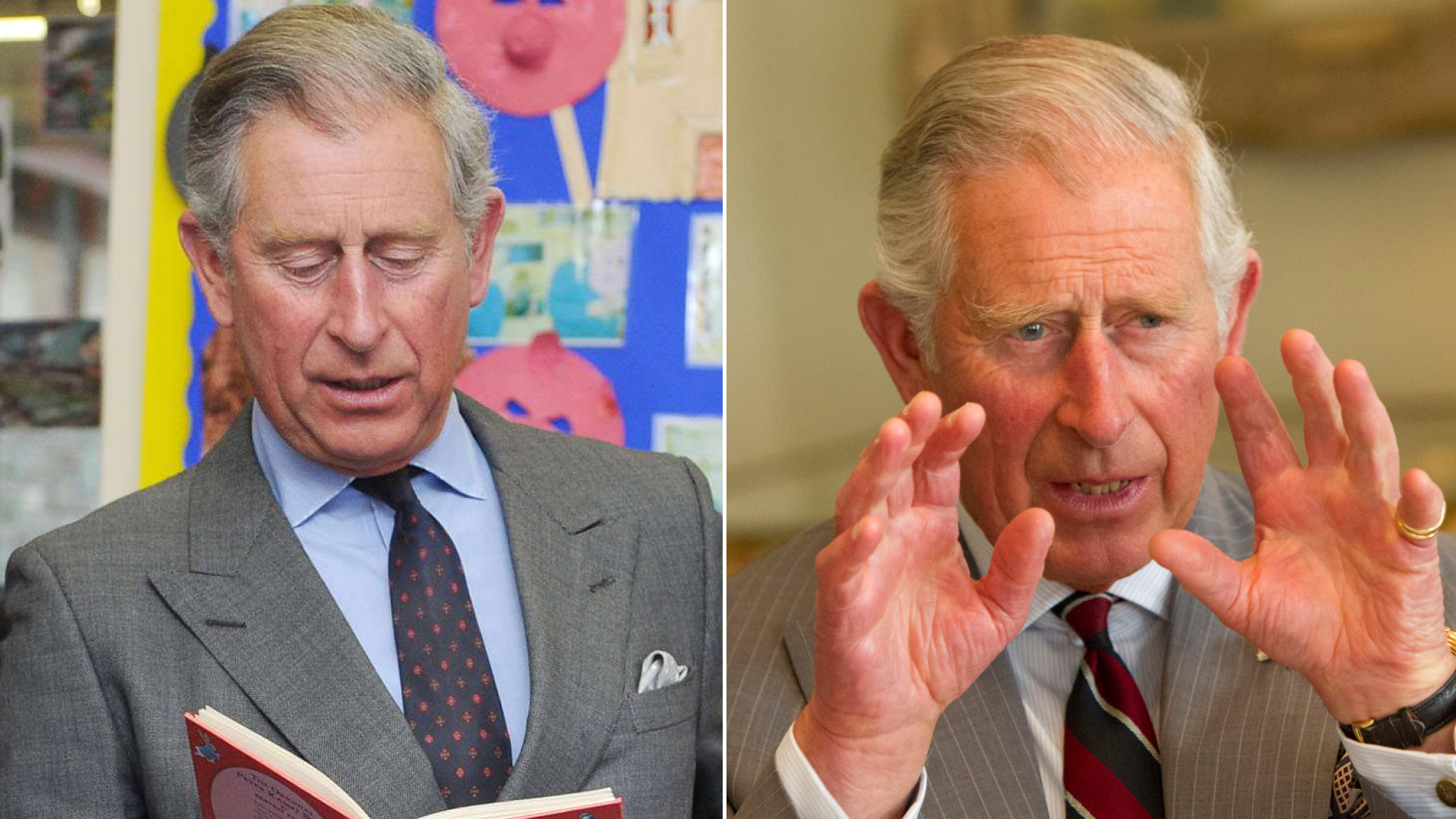 King Charles wears a gray suit and reads a book, performing with his hands
