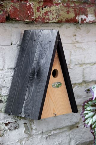 bird house design ideas: triangular wooden design from Rockett St George