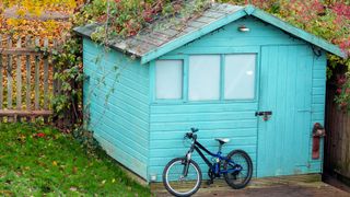 Bicycle outside blue shed in yard