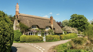 A cottage with a thatched roof on the side of a small street with shrubs out front