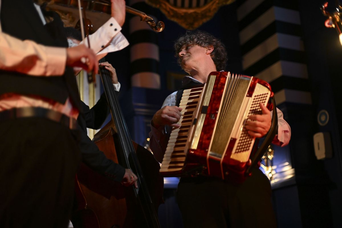 Nikon ZR sample images &ndash; musicians in a classsic interior; a violinist, double bass and accordian