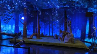 Unreal Engine 5 LED Volume set; a night scene in a forest projected onto a film set