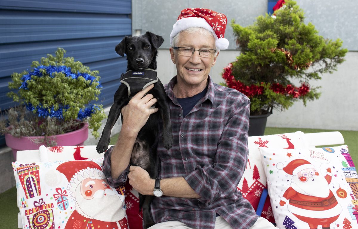 Paul O’Grady: For the Love of Dogs at Christmas