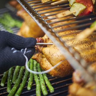 grilling chicken and veggies