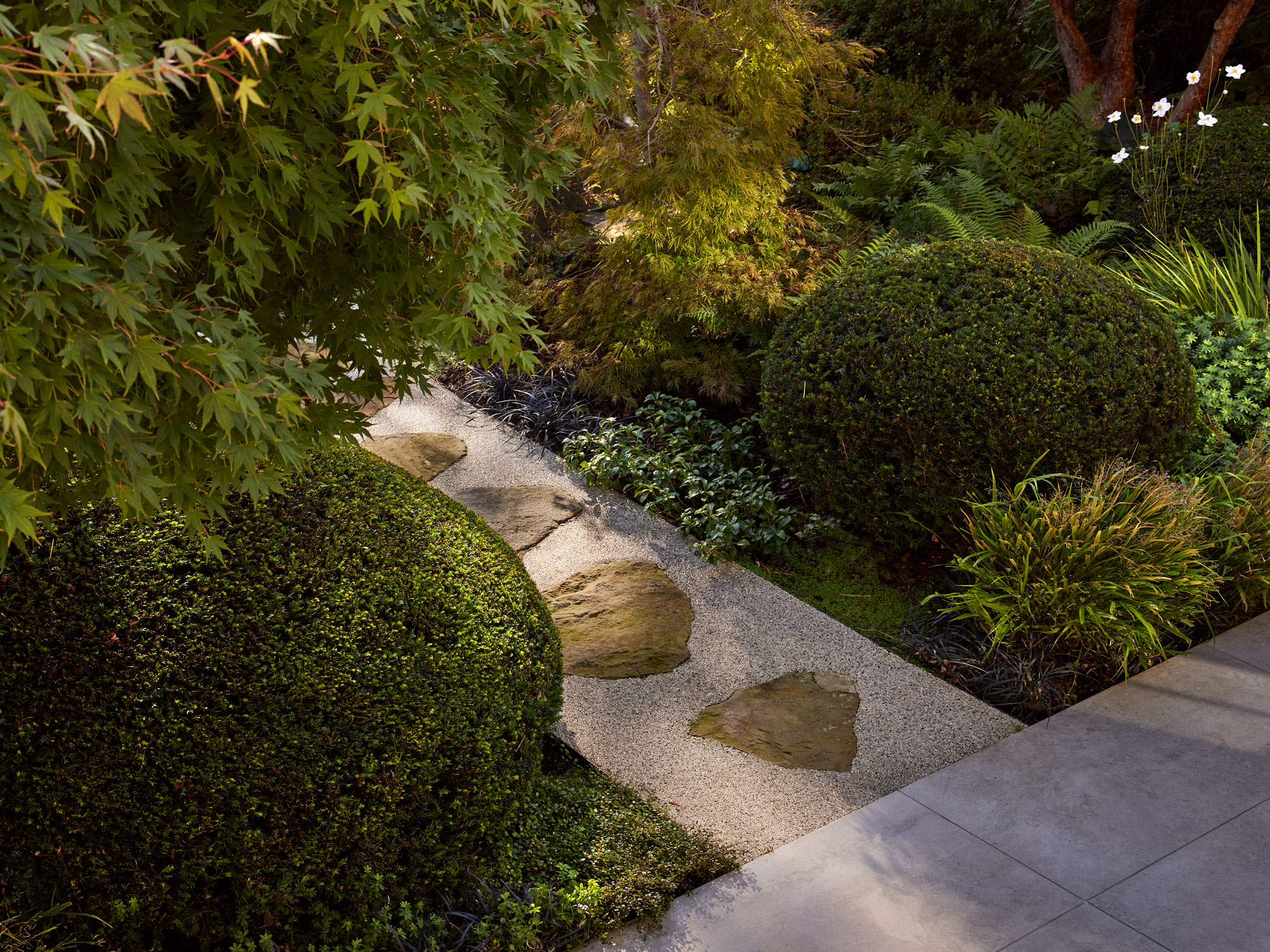 modern garden design with stepping stone path, green planting and topiary
