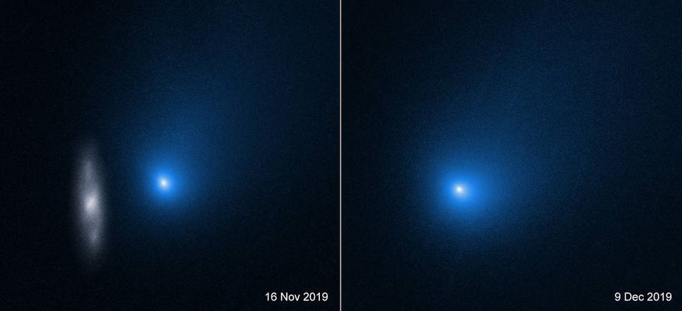 Interstellar Comet Borisov Shines in Incredible New Hubble Photos
