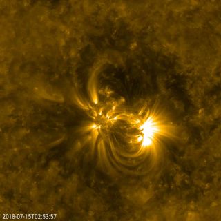 A magnetically-intense active region on the Sun. Such areas are the starting points of solar flares and coronal mass ejections.