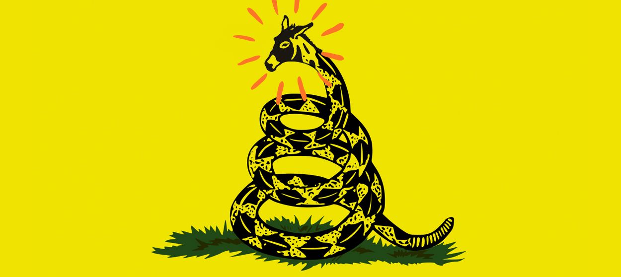 The Gadsden flag.