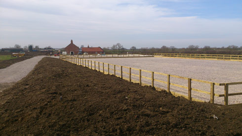 Lauren Shannon's arena