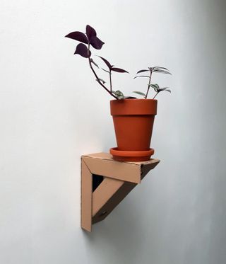 Cardboard shelf by Peter Marigold with plant in an orange pot