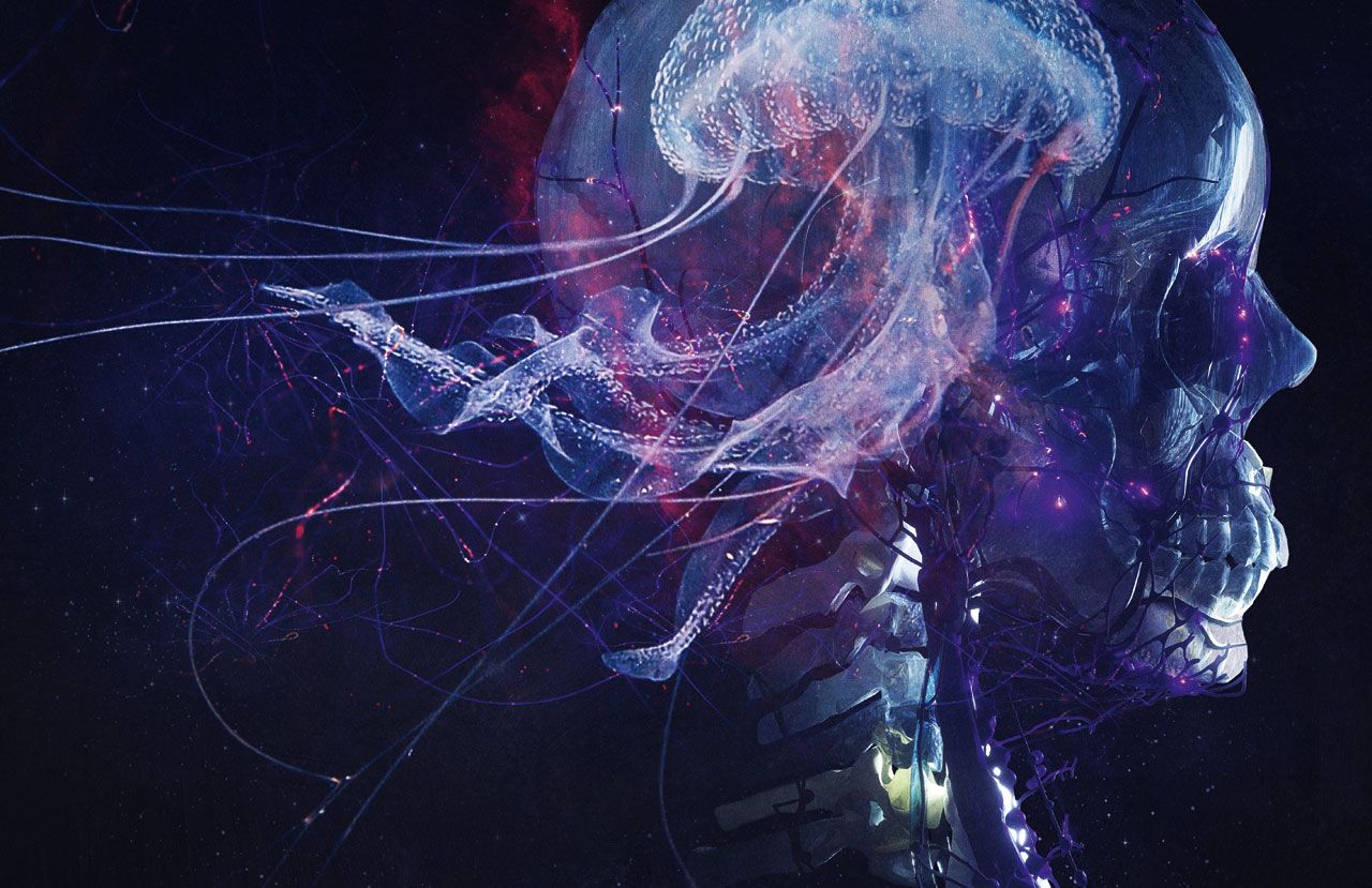 Avant-black metal pioneers Blut Aus Nord embark on a thrilling new