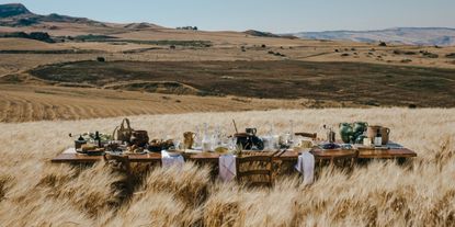 A long wooden table decorated with tableware and food for an en-plein-air feast sits in a golden field in the sunshine.