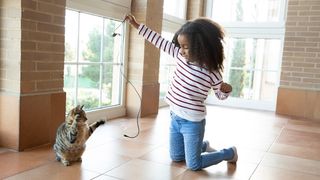 cat play