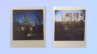 Photos taken with a Lomography Diana Instant Square instant camera