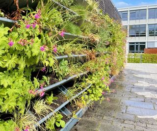 Living wall planted with perennials and flowers