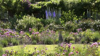 rose garden with bird table in the centre