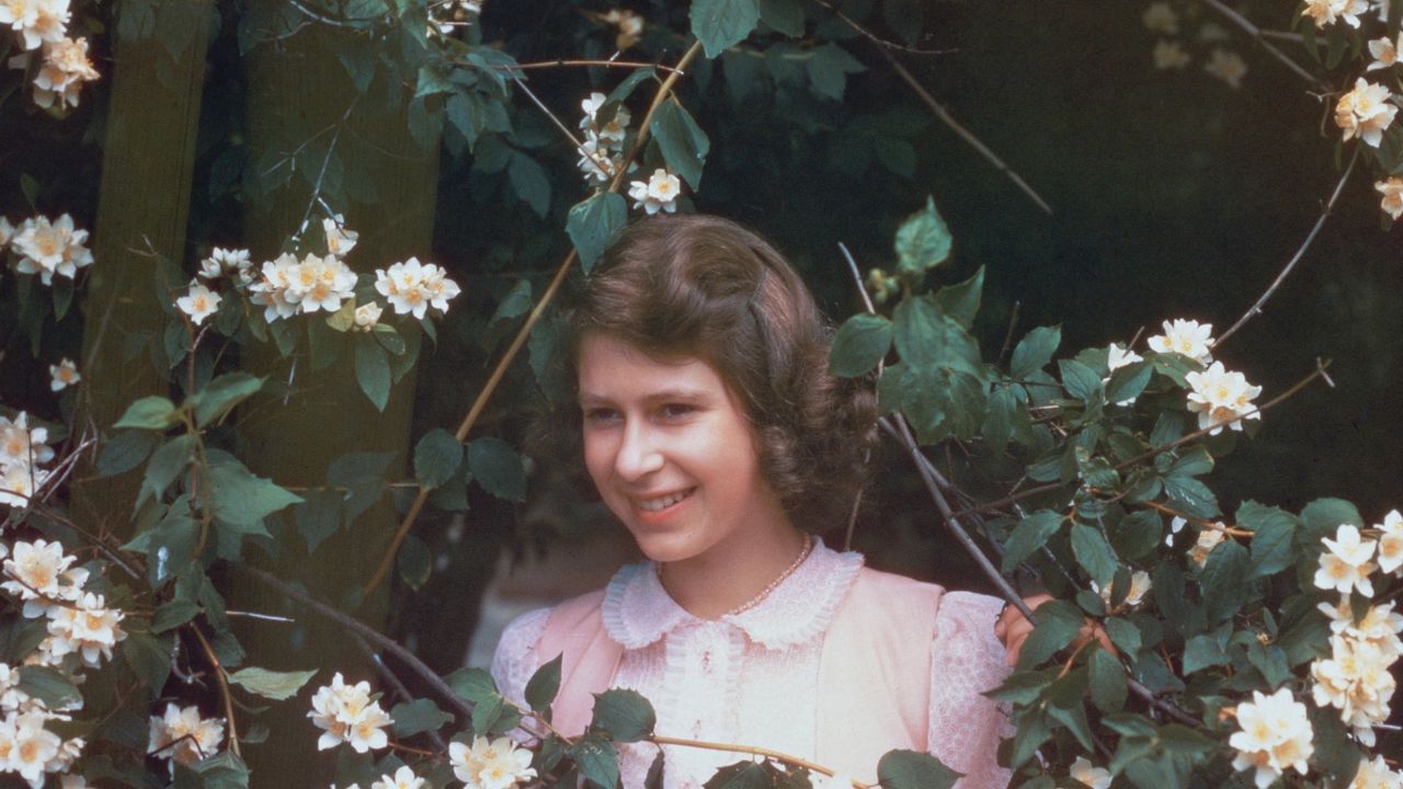 The diaries of the Queen&#039;s childhood friend have been published for the time, after more than seven decades in hiding. 